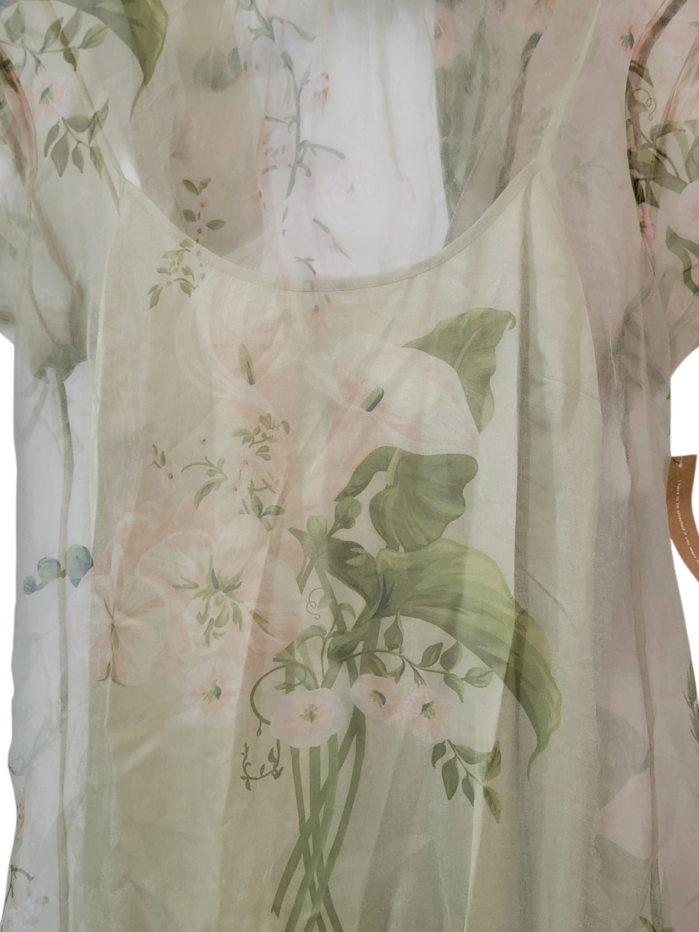 Few Moda Caara Sheer Floral Maxi Dress in Sage Green - Picture 9 of 10
